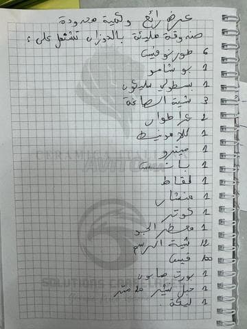 نور الهدى - Work sample 19