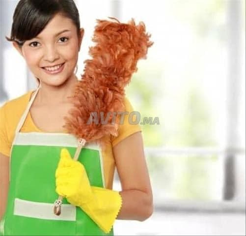 Lima Service - Work sample 21