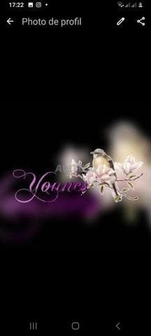 dounia
