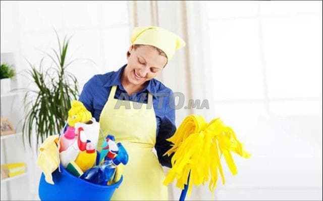 DARI Pro ServICE - Work sample 37