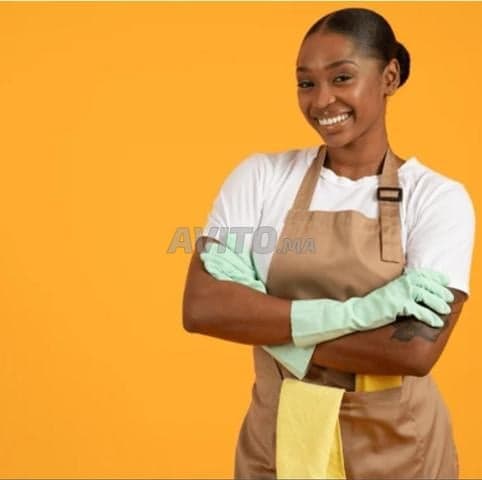 DARI Pro ServICE - Work sample 186