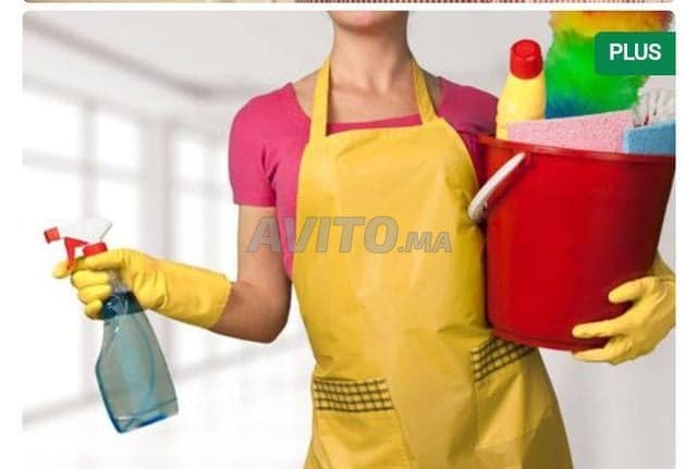 DARI Pro ServICE - Work sample 100
