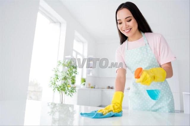 DARI Pro ServICE - Work sample 57