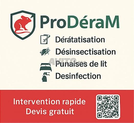 ProDéRaM - Work sample 5