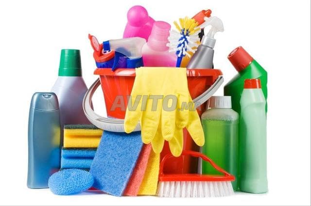 femme de ménage cuisinière nounous garde malade - Work sample 4