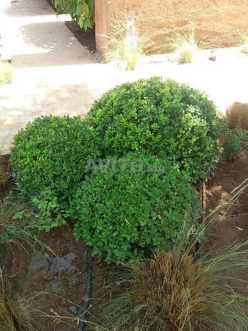 abdelah - Work sample 5