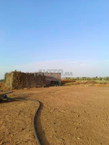 Abdelhafid - Work sample 6