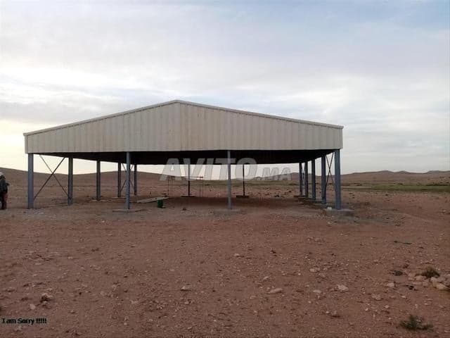 EL HABIB