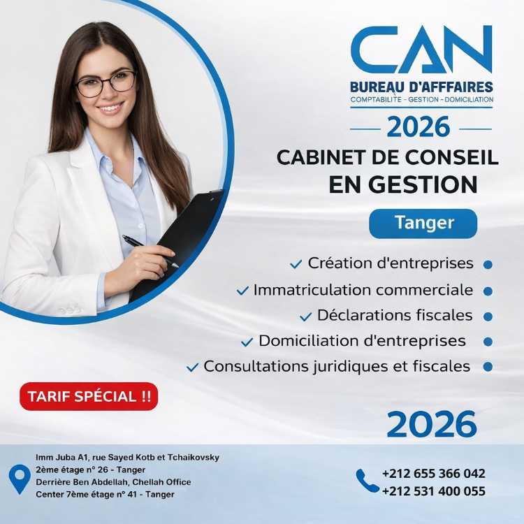 CONSULTING CONSULTING ACCOMPAGNEMENT AFFAIRES NORD - Work sample 2