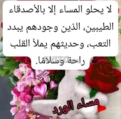 شعيب