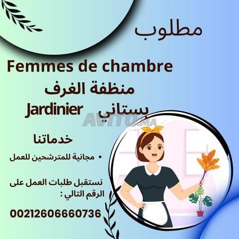 Ste services